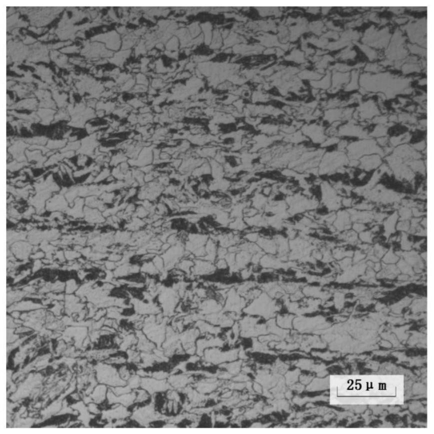 Method for improving performance uniformity of thermo-mechanically rolled steel plate and thermo-mechanically rolled steel plate