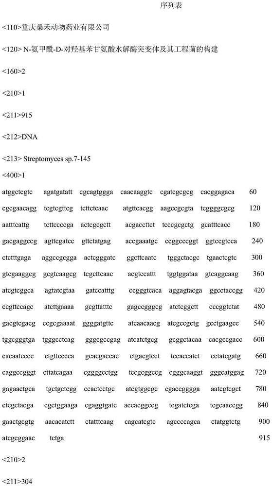 N-carbamoyl-D-p-hydroxyphenylglycine hydrolase mutants and construction of engineering bacteria thereof