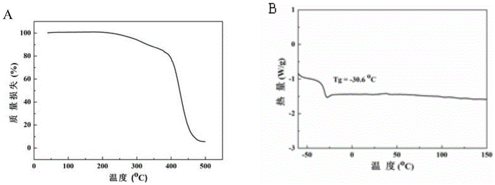 Biodegradable photocurable medical adhesive and preparation and application thereof