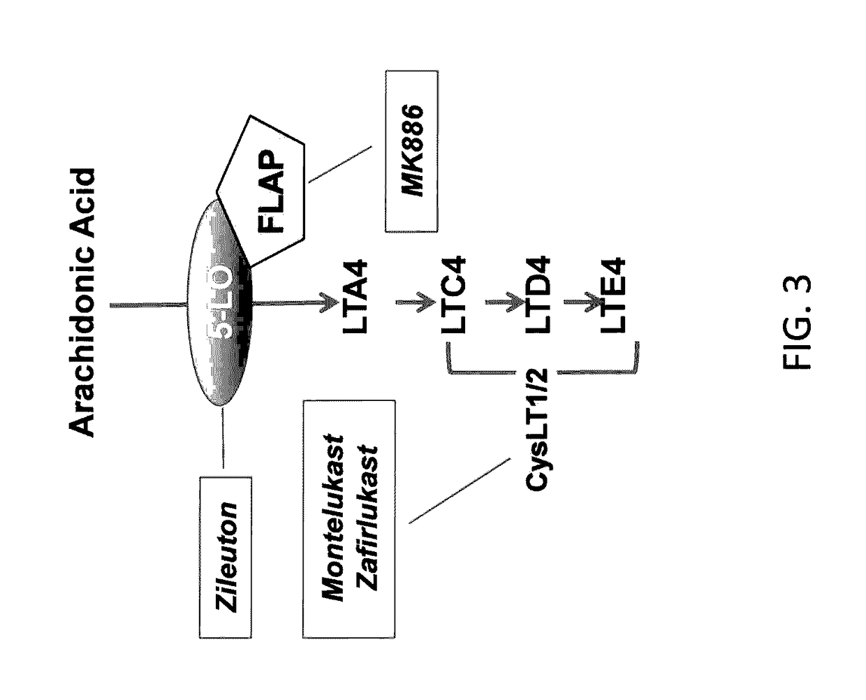 Inhibition of leukotriene synthesis and activity in the treatment of sonic hedgehog-associated medulloblastoma