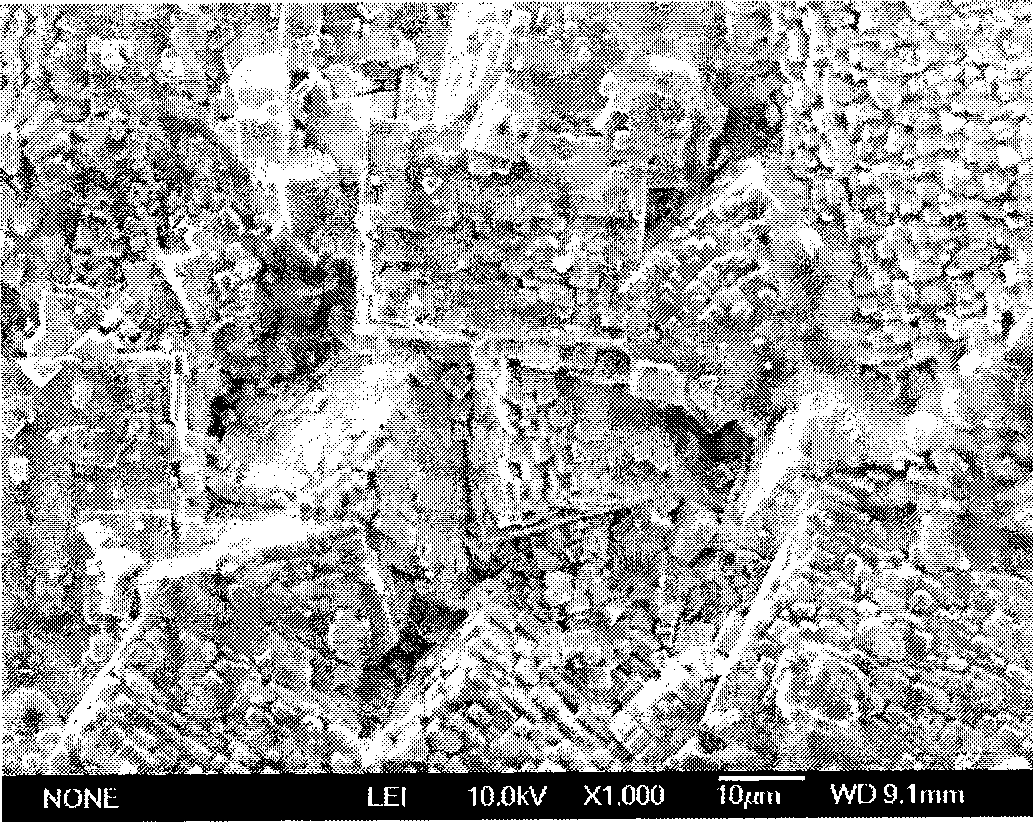 Niobate leadless piezoelectric ceramic with orderedly arranged paracrystal and preparation thereof