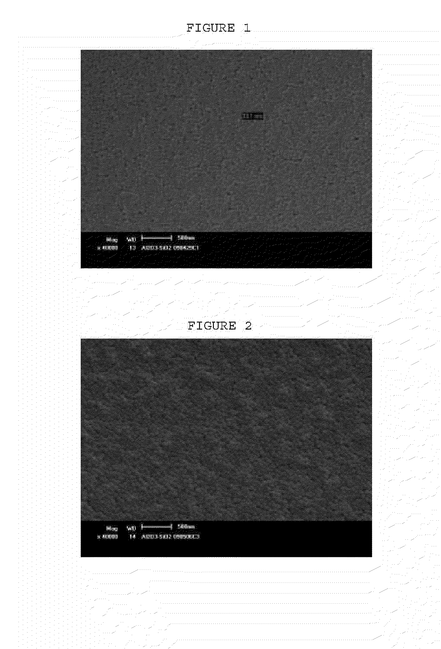 Preparation Method of Composite Silica Nanoparticles with Monodispersity