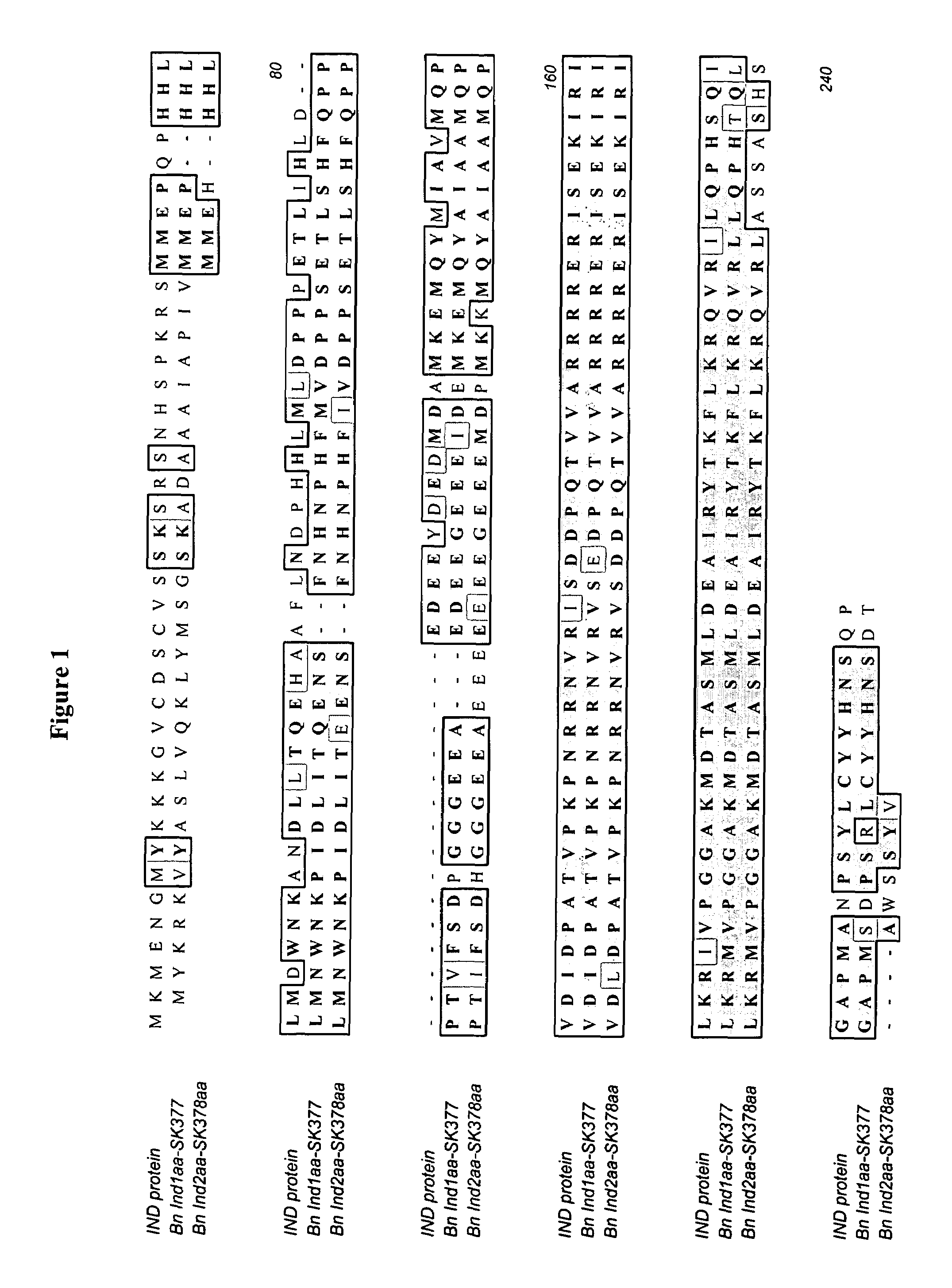 Control of fruit dehiscence in plants by <i>Indehiscent1 </i>genes