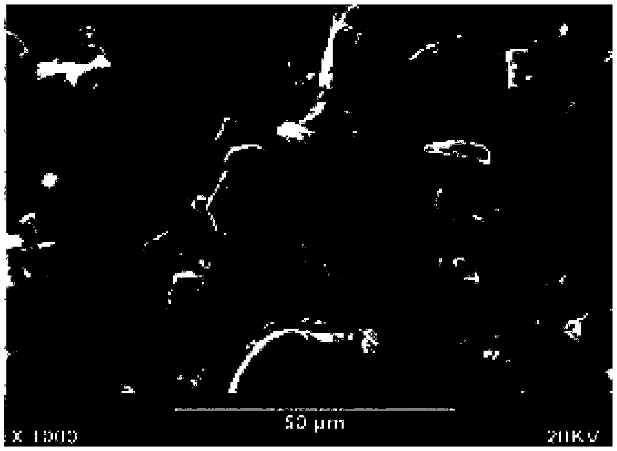 A kind of graphite composite negative electrode material and preparation method thereof