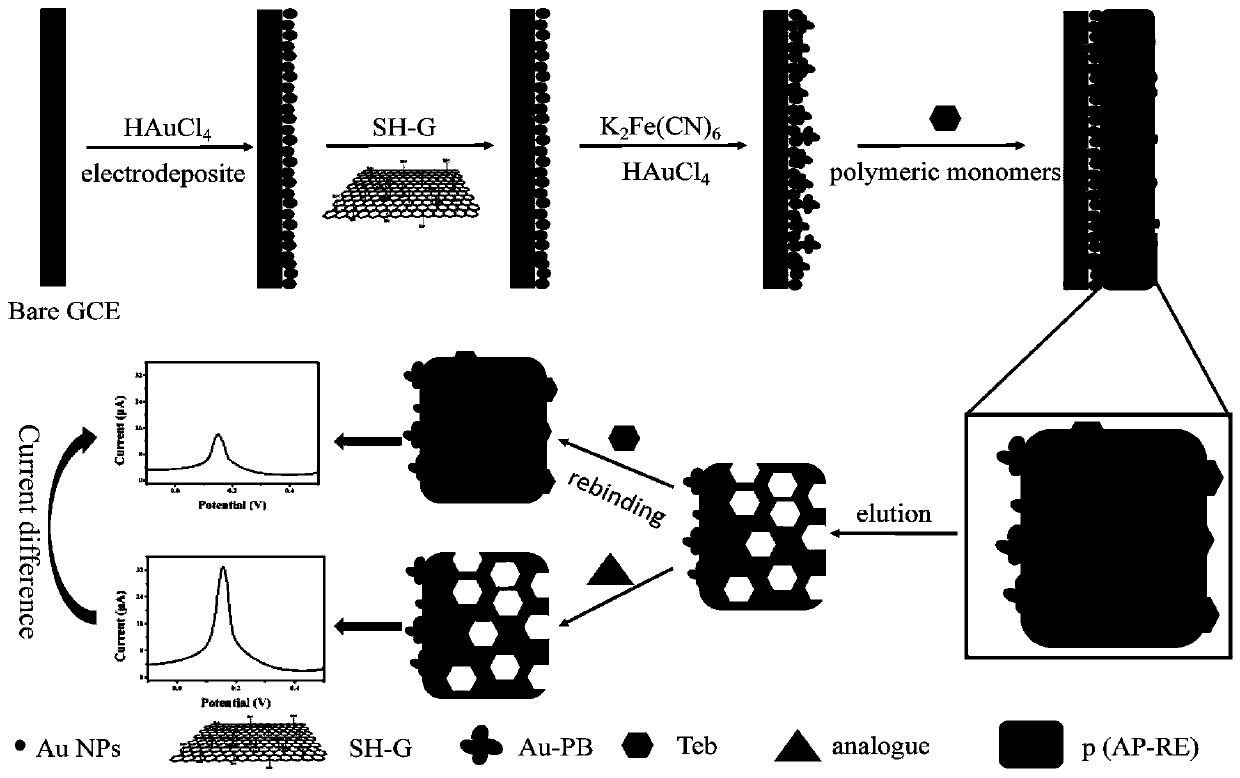 A kind of tebuconazole molecularly imprinted membrane electrode, portable sensor and its use method and application