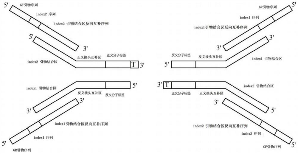 Short joint, double-index joint primer and double-index library building system of gene sequencer