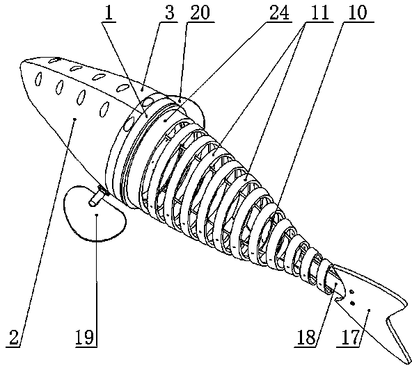 Robotic fish with independent ring tail support and snorkeling method of robotic fish
