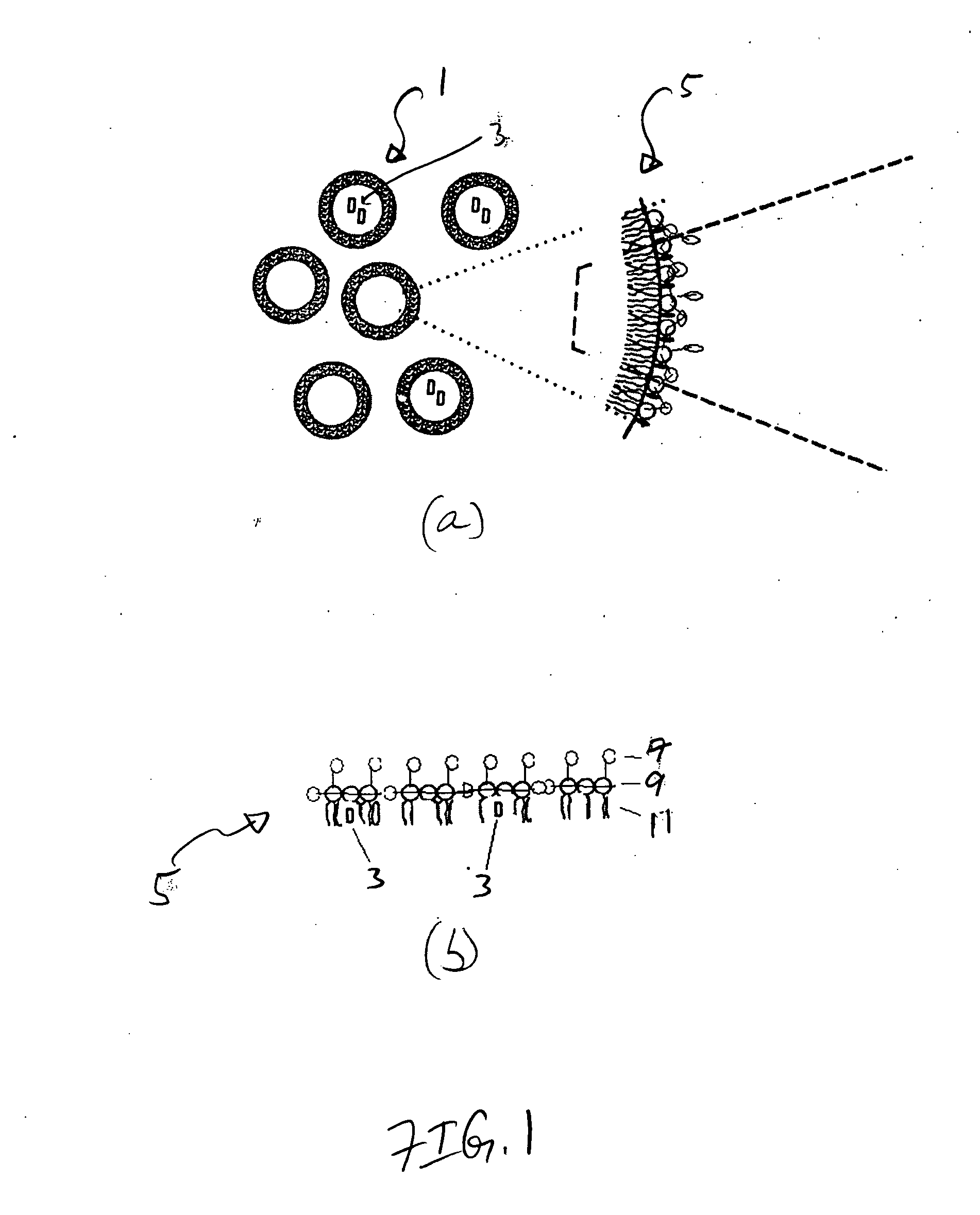 Compositions and methods for hydrophobic drug delivery