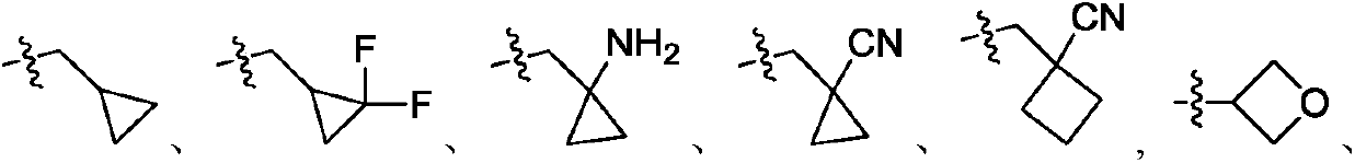 Spiro aryl sulfone as protein kinase inhibitor