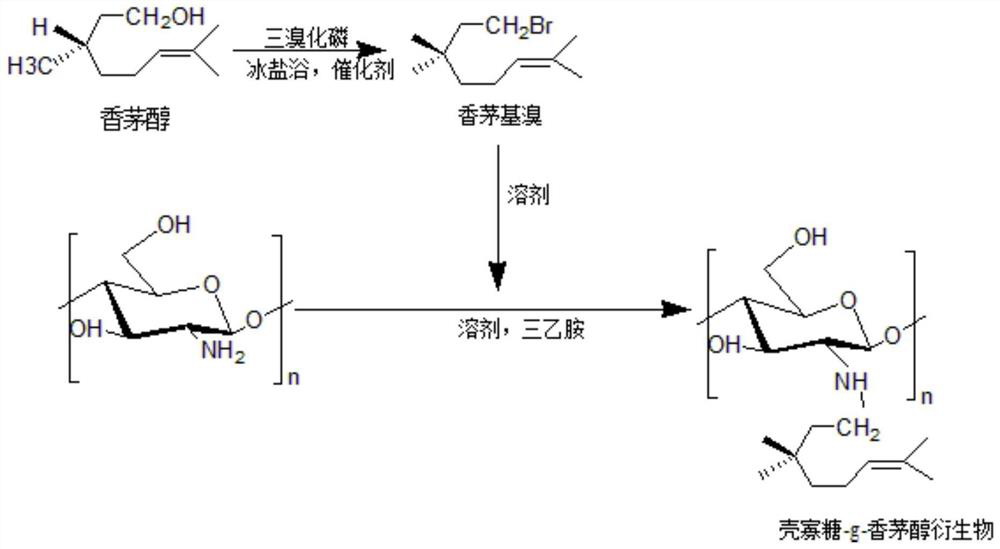 Chitosan oligosaccharide-g-citronellol derivative and preparation method thereof