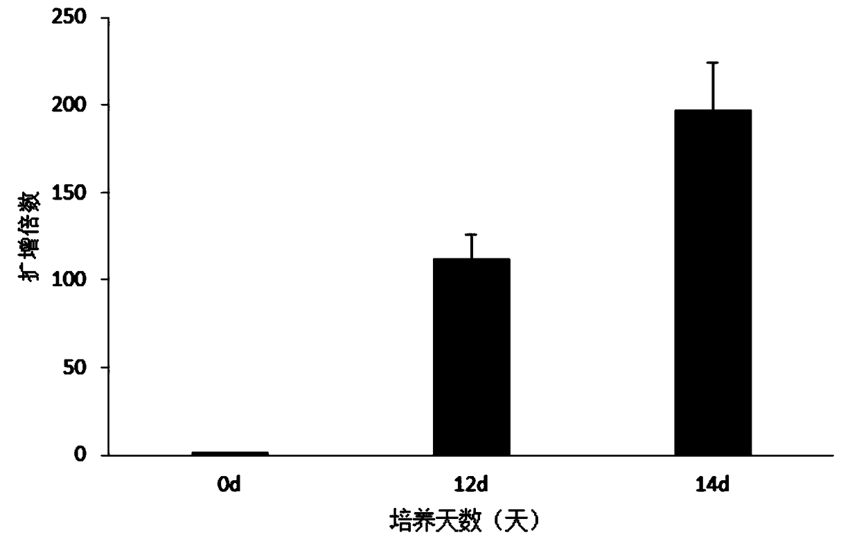 Natural killer cell culture substrate and natural killer cell expansion culture method