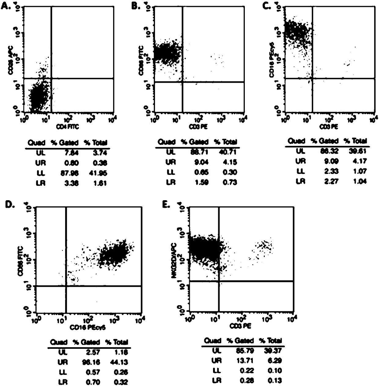 Natural killer cell culture substrate and natural killer cell expansion culture method