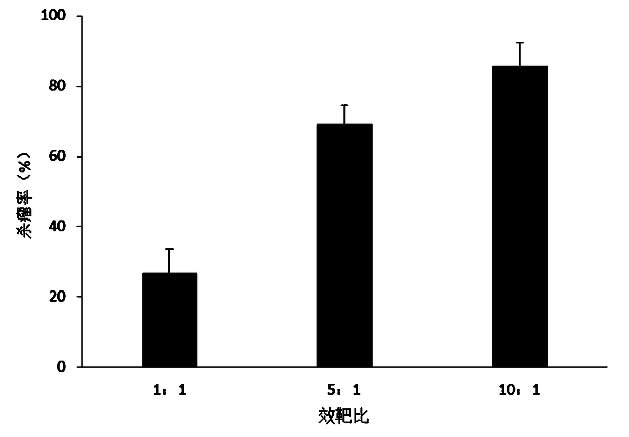 Natural killer cell culture substrate and natural killer cell expansion culture method