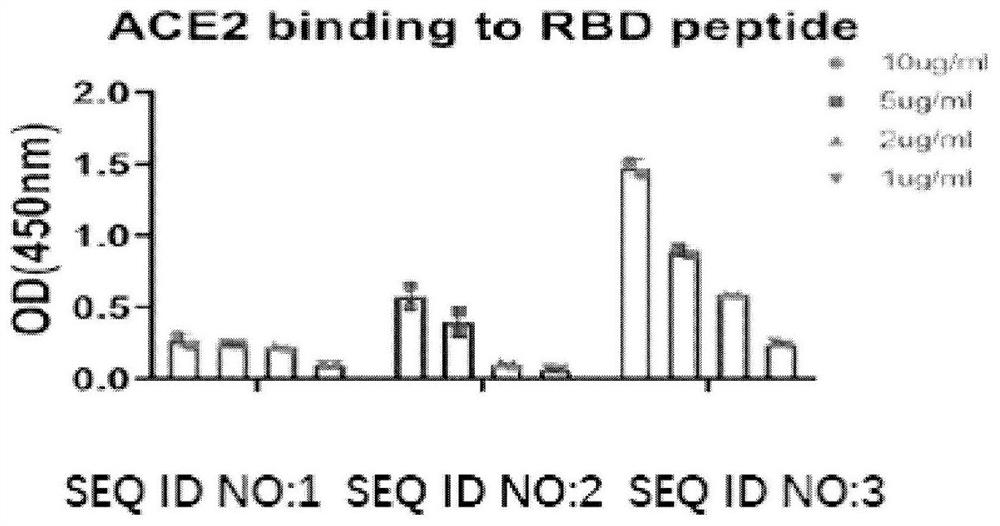 Linear epitope of novel coronavirus RBD specific monoclonal antibody and application