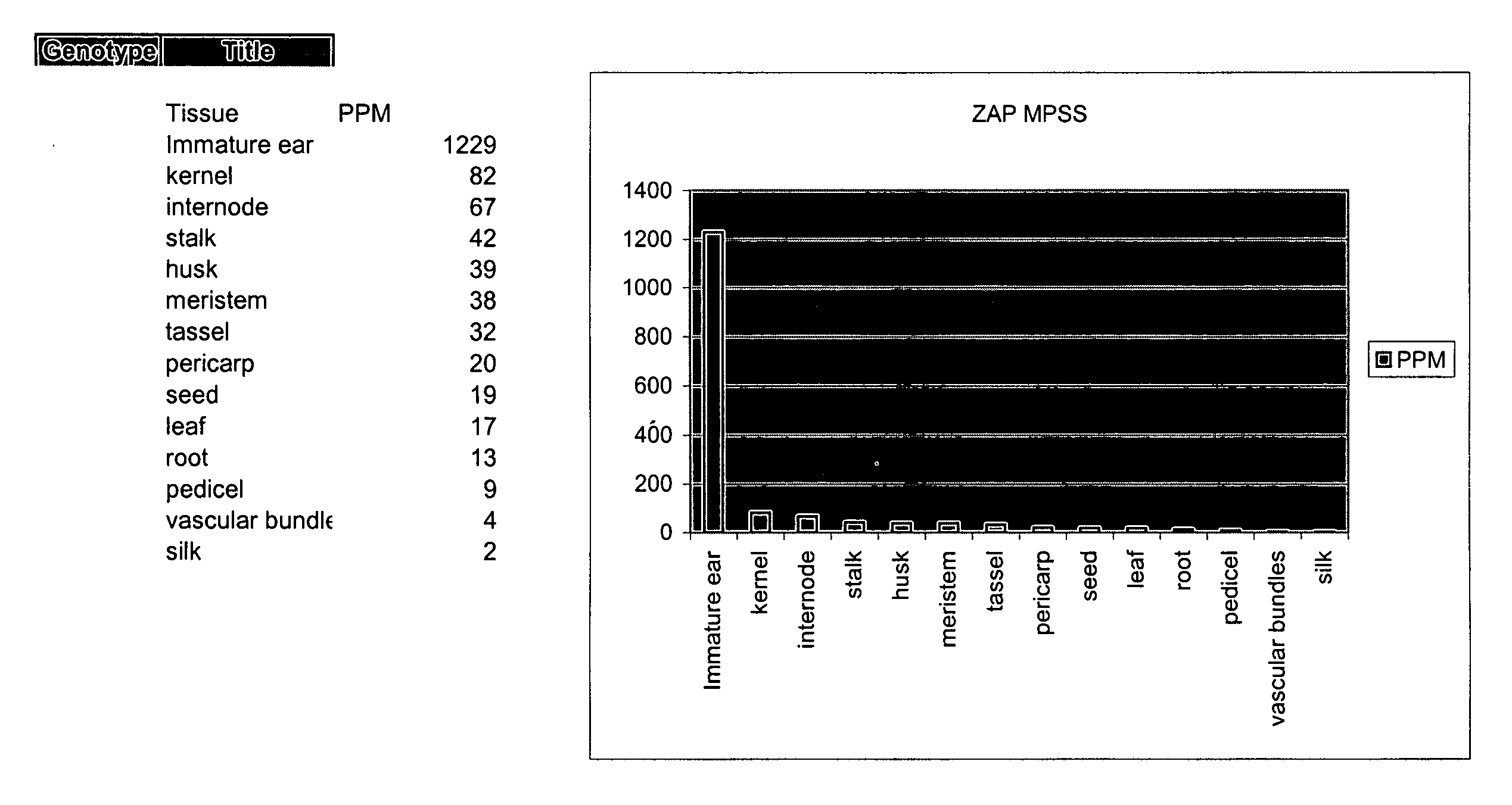 Early-inflorescence-preferred regulatory elements and uses thereof