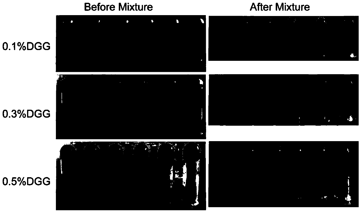 In situ gel-forming pharmaceutical compositions and uses thereof for sinus diseases