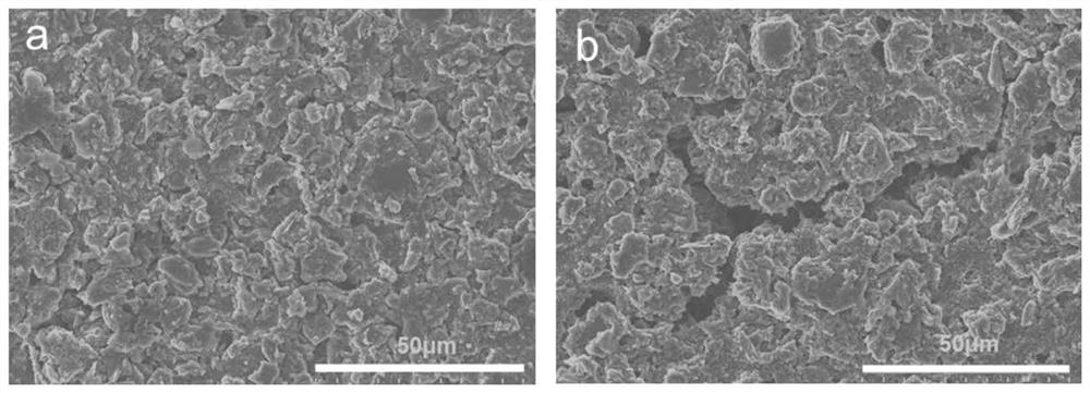 Battery silicon-carbon negative electrode composite adhesive as well as preparation method and application thereof