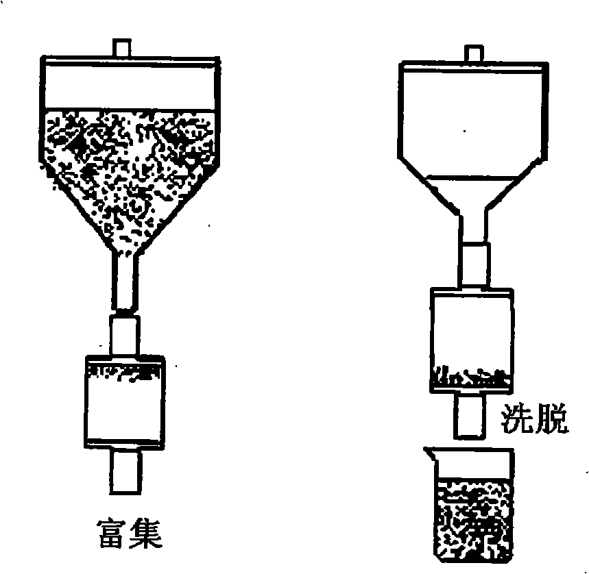 Method for extracting gold from alkaline cyanide solution