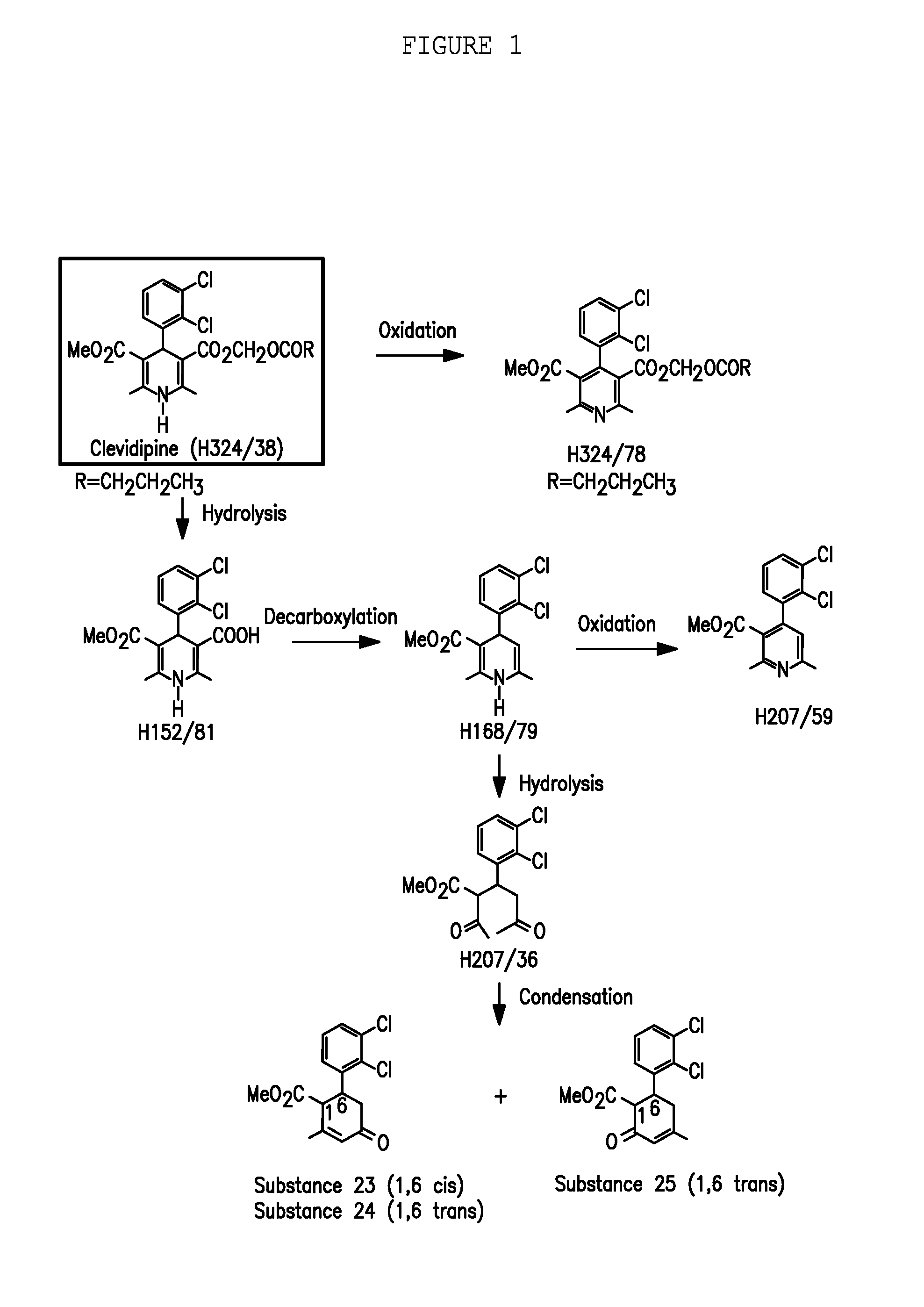 Pharmaceutical Compositions And Methods For Producing Low Impurity Concentrations Of The Same