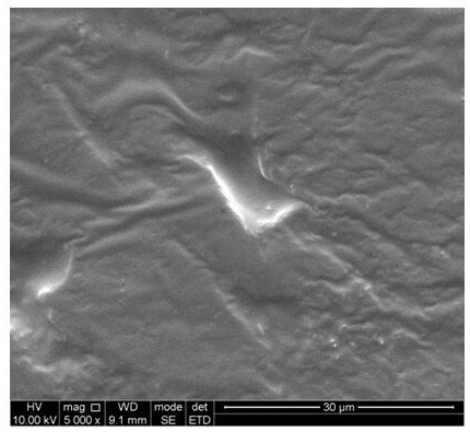 A method for preparing flexible conductive composite materials by adjusting graphene alignment by magnetic field