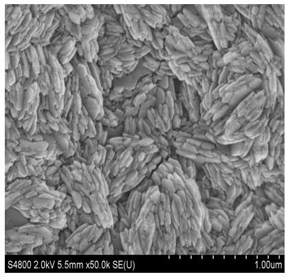 A method for preparing flexible conductive composite materials by adjusting graphene alignment by magnetic field