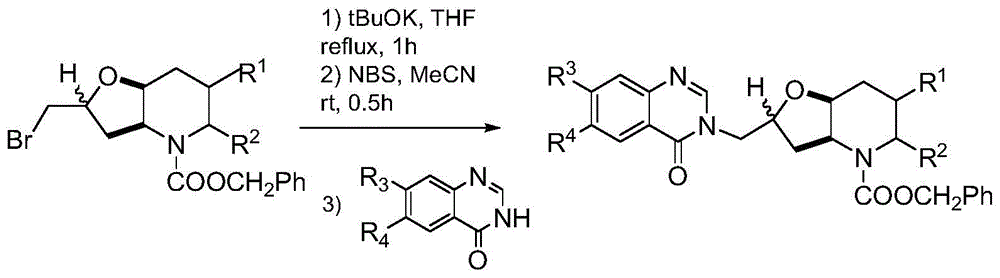 Derivatives of ferruginous alkaloids and their application in the preparation of anti-drug-resistant bacteria