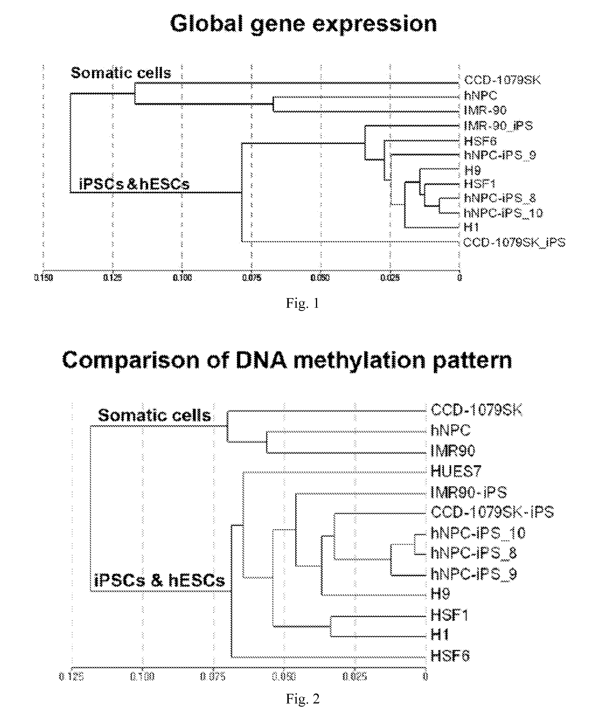 Molecular Markers and Assay Methods for Characterizing Cells