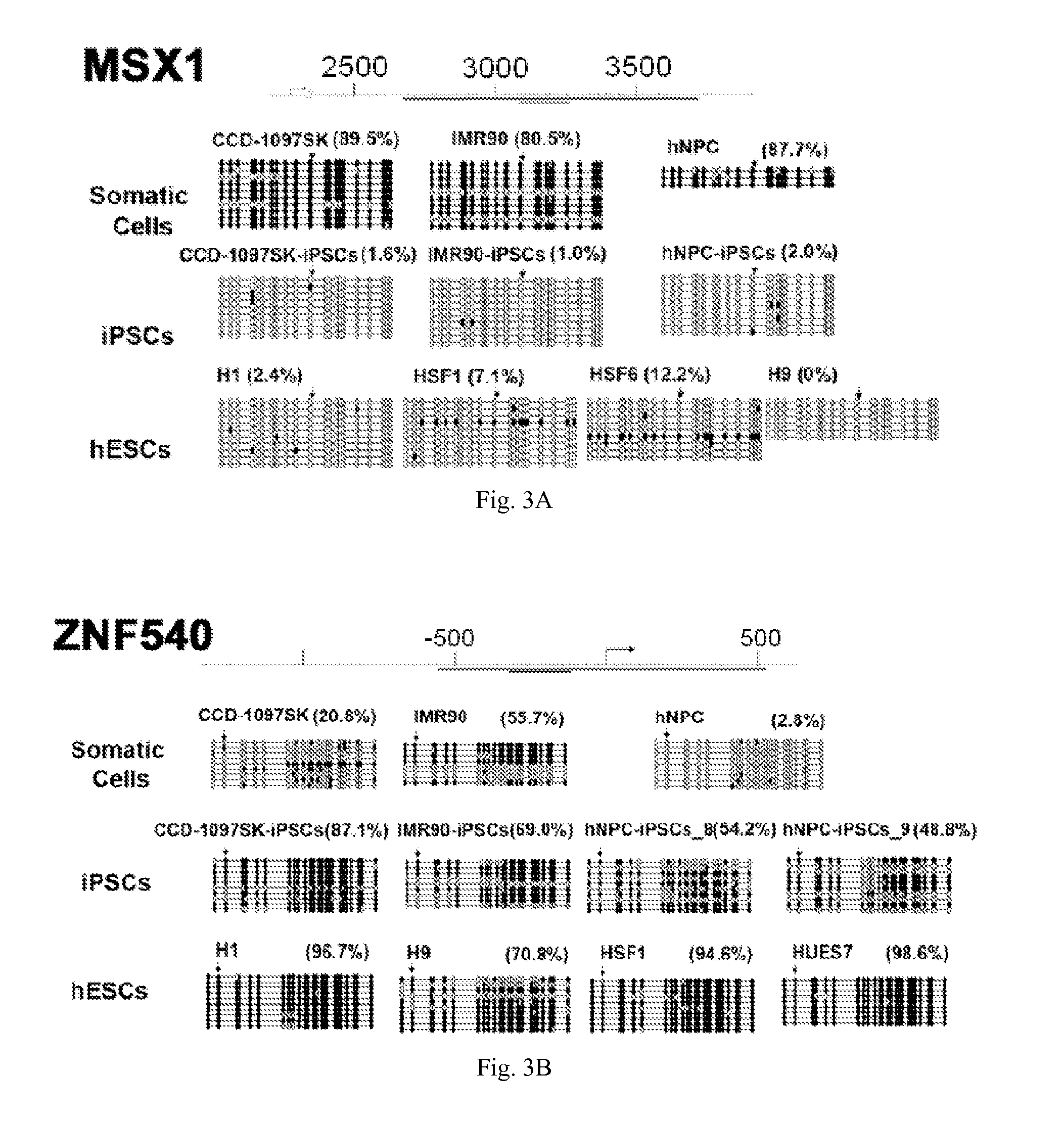 Molecular Markers and Assay Methods for Characterizing Cells
