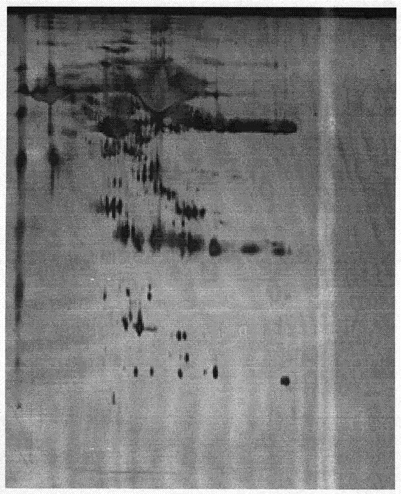 Method for concentrating and desalting urine sample