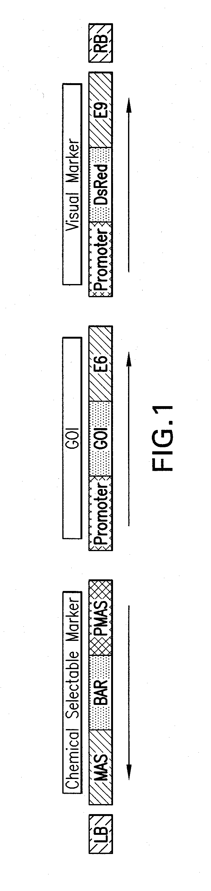 Methods and compositions for root knot nematode control