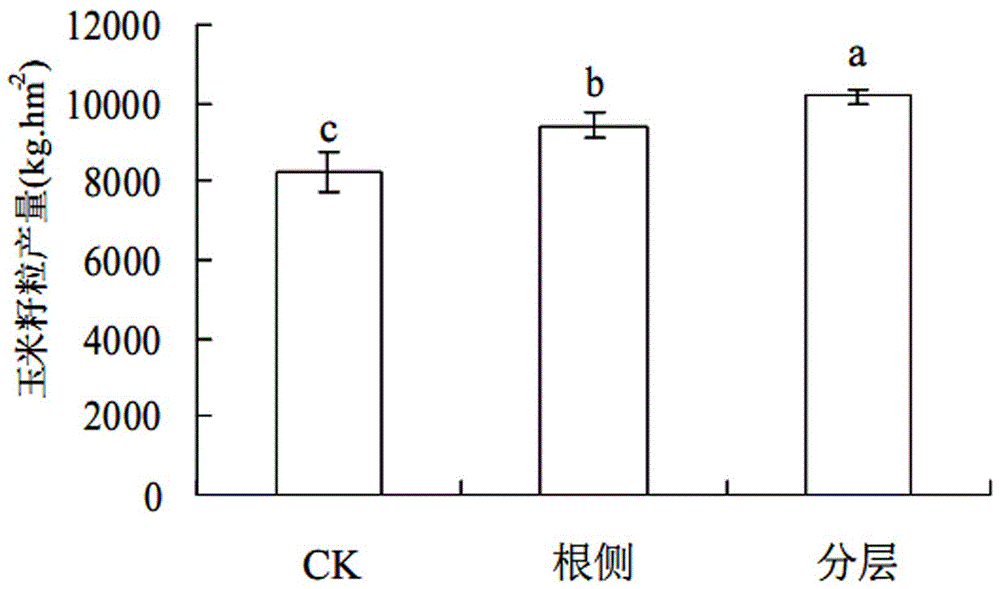 Accurate depth layered application method of summer corn nitrogen phosphorus and potassium fertilizer