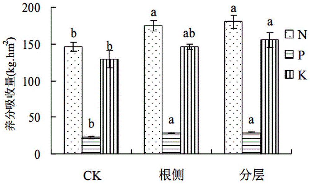 Accurate depth layered application method of summer corn nitrogen phosphorus and potassium fertilizer