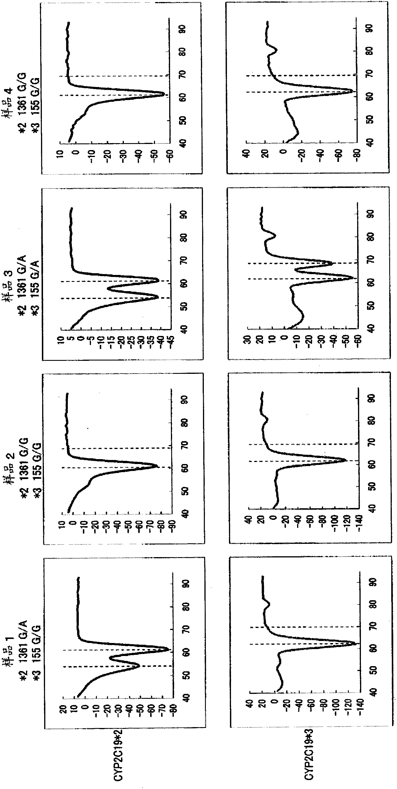 Primer pair for cyp2c19 gene amplification, reagent for cyp2c19 gene amplification containing same and use thereof