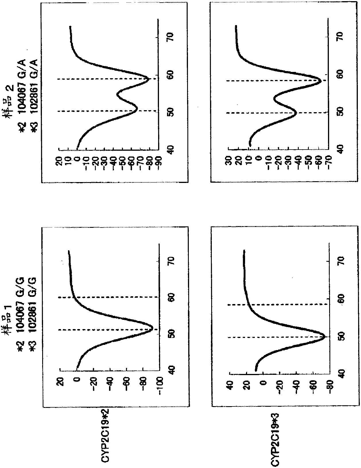 Primer pair for cyp2c19 gene amplification, reagent for cyp2c19 gene amplification containing same and use thereof