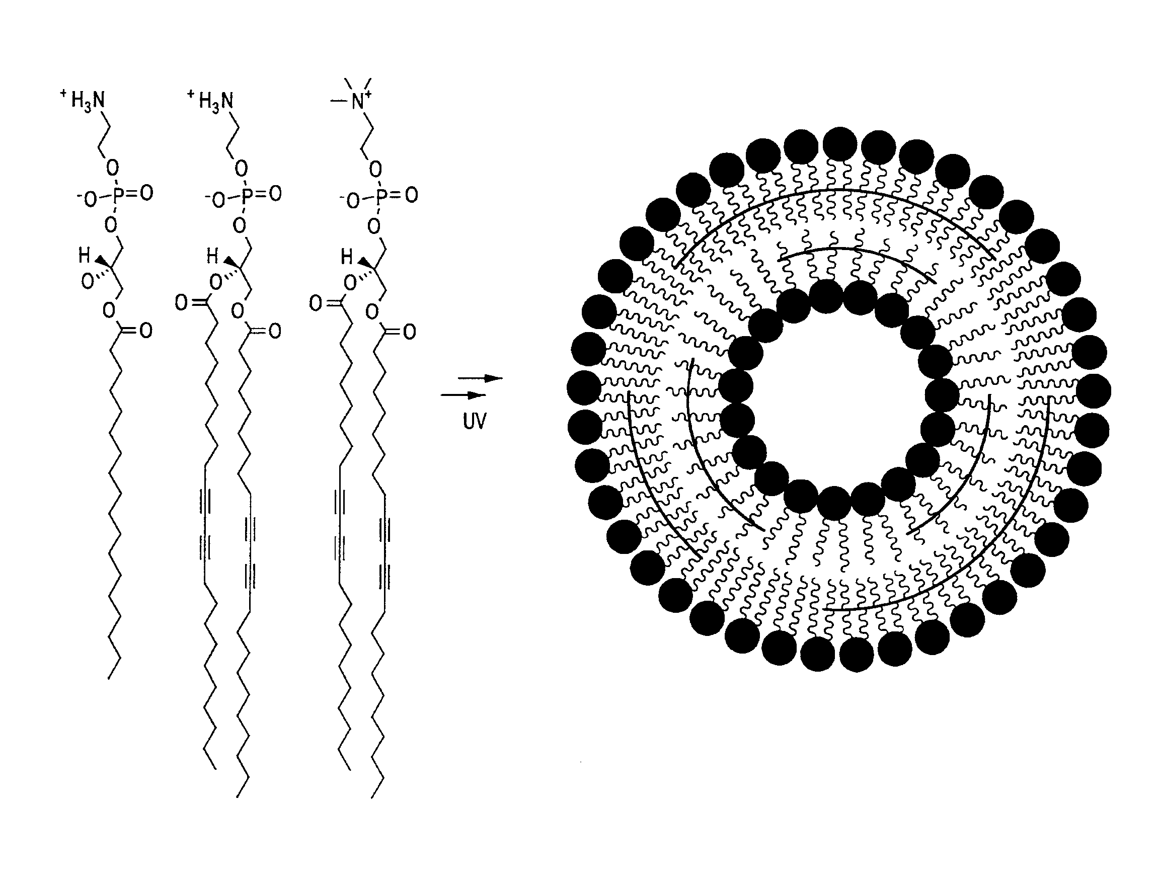 Thermally-activatable liposome compositions and methods for imaging, diagnosis and therapy