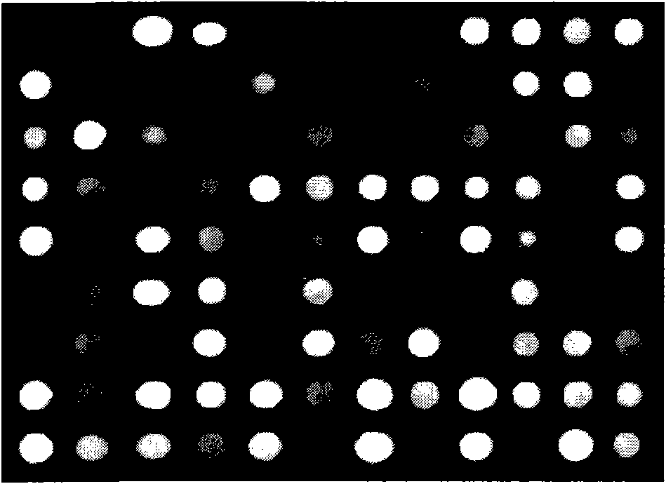 Particle swarm optimization-based gene chip image segmenting method of K-means clustering algorithm