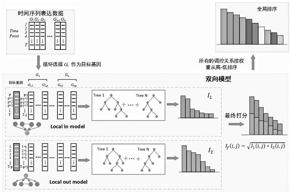 A Gene Regulatory Network Construction Method Based on Bidirectional xgBoost