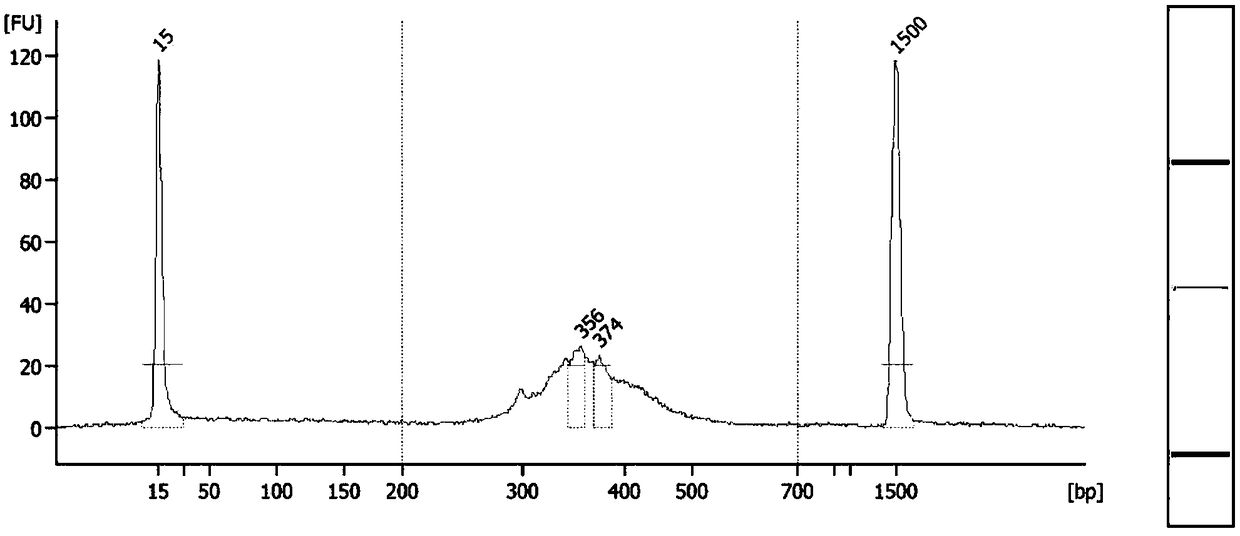 Method for constructing circRNA high-throughput sequencing library of FFPE sample