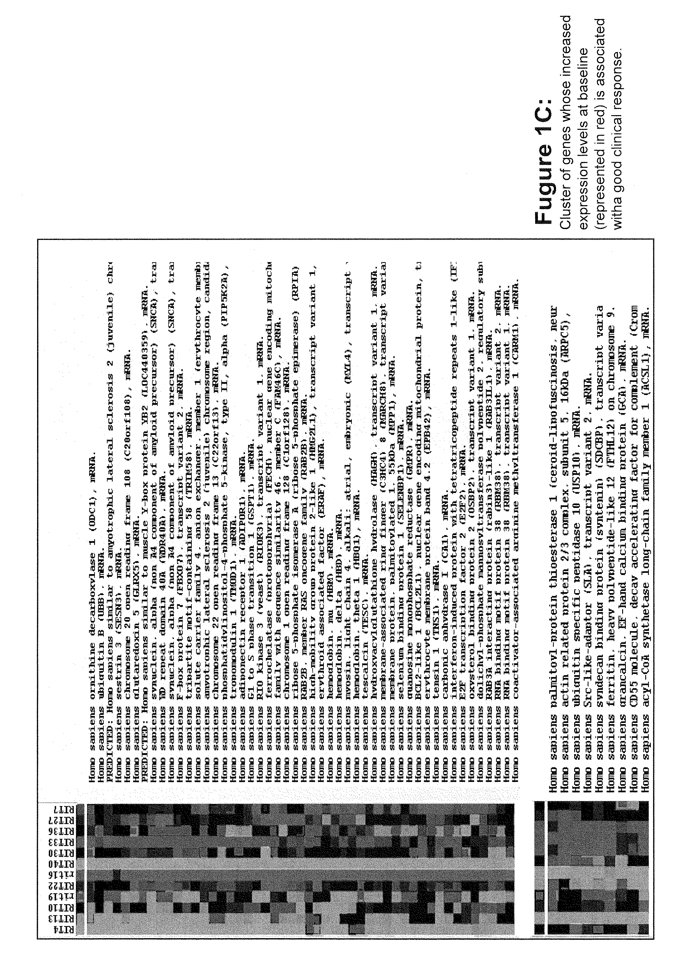 Method for prognosticating the clinical response of a patient to B-lymphocyte inhibiting or depleting therapy