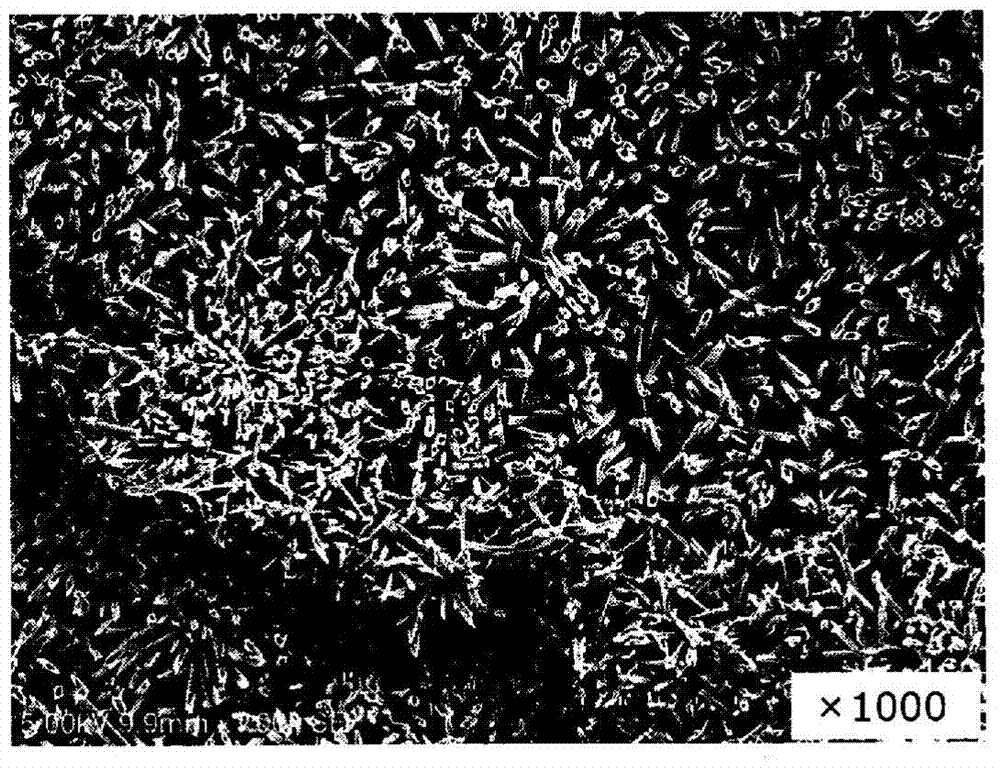 drug coating