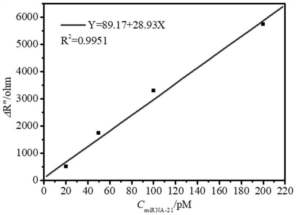 A Method for Detection of miRNA-21 Based on Electrochemical AC Impedance