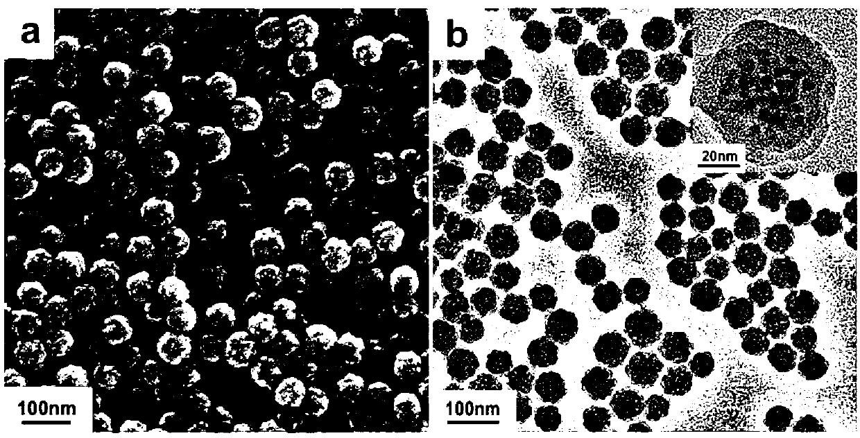 Multifunctional composite nanoparticle and preparation method and application thereof