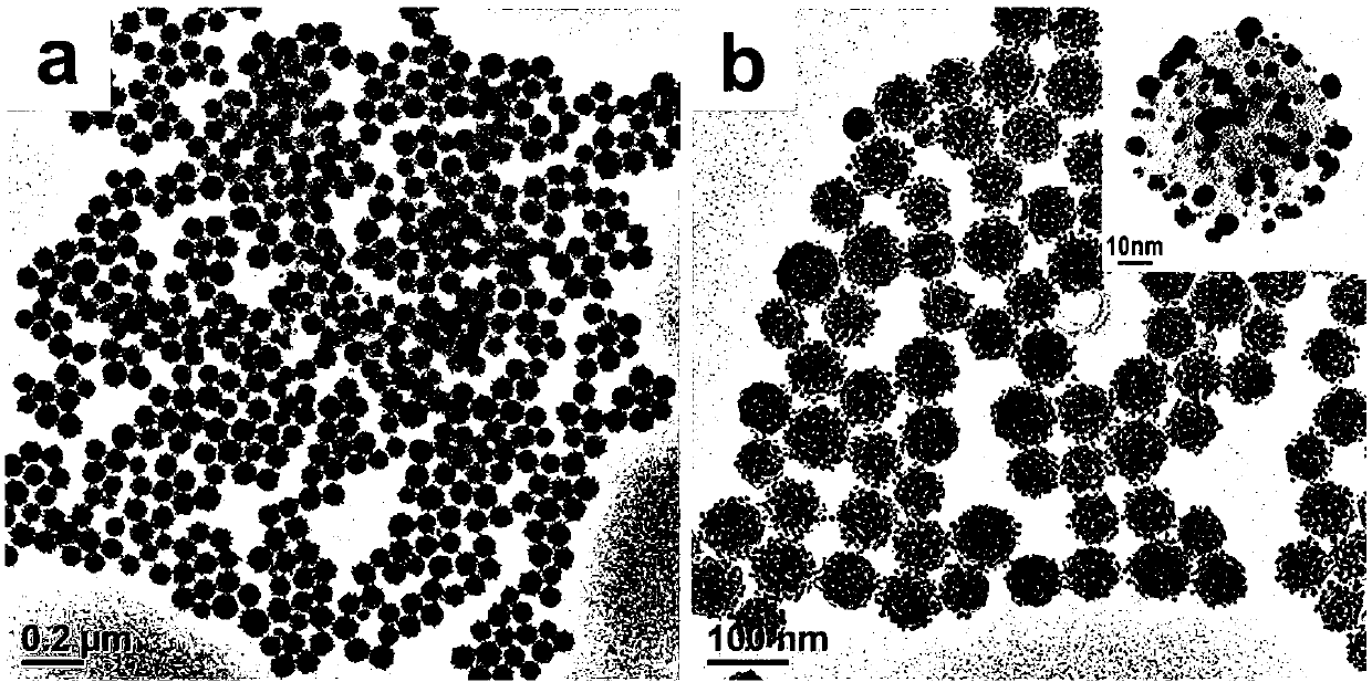Multifunctional composite nanoparticle and preparation method and application thereof