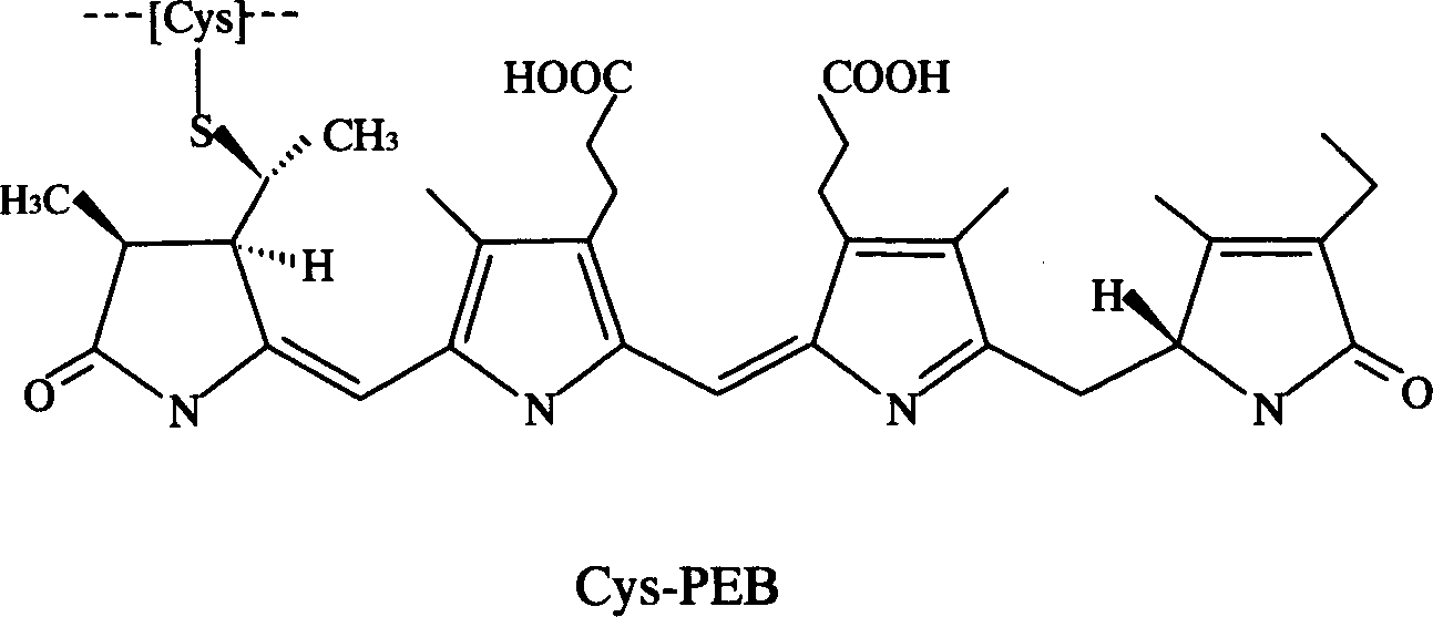 Production technology of phycoerythrin and crystal and product thereof