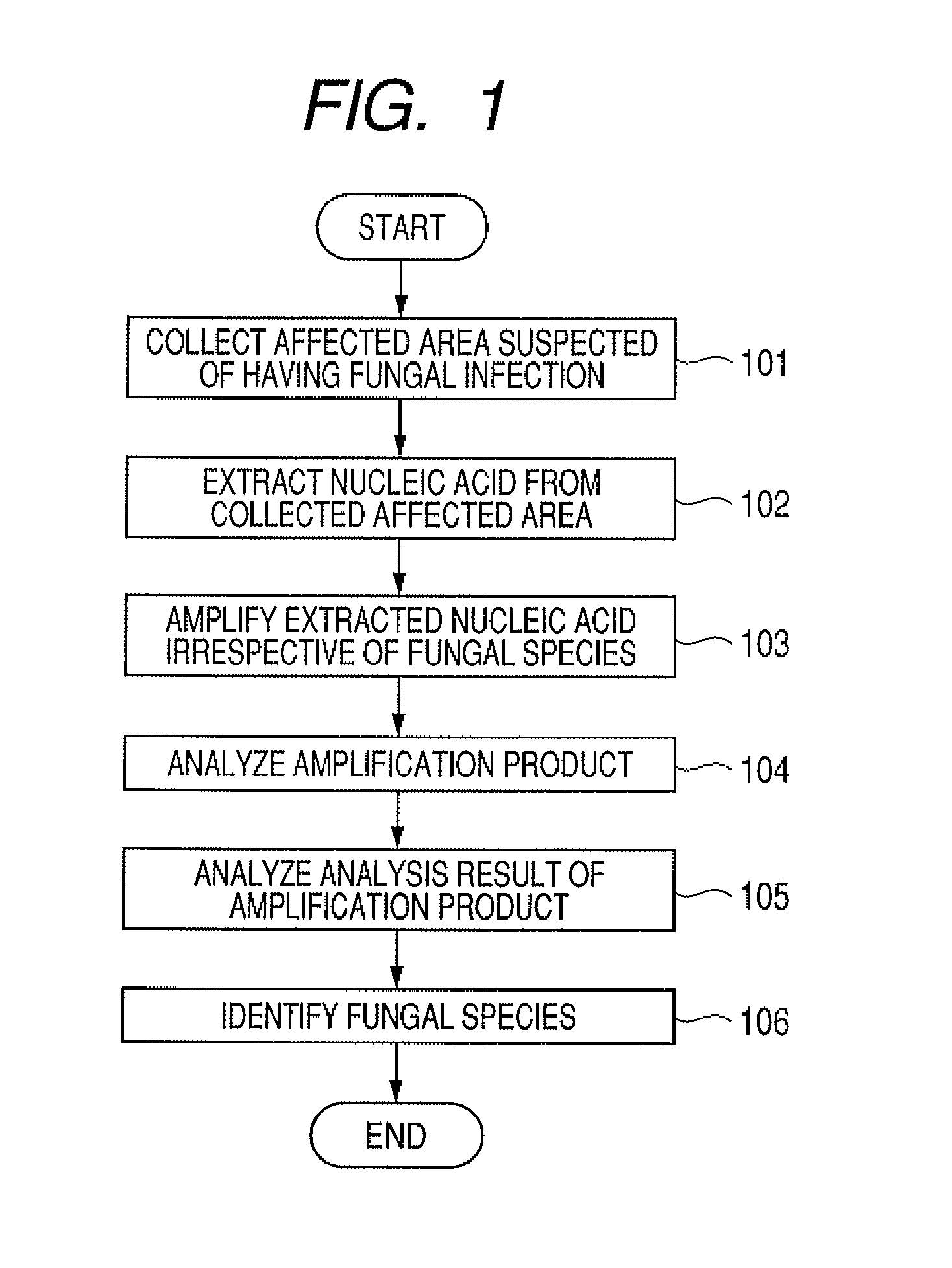 Probe set, probe carrier, and method for determining and identifying fungus