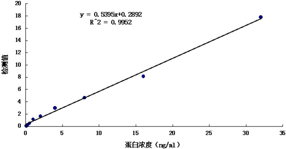 Human tissue kallikrein 1 fluorescent quantitative detection test paper card