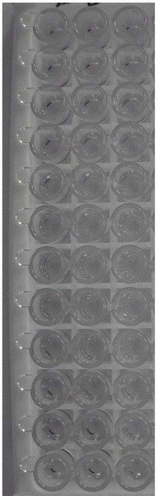 Hybridoma cell line producing monoclonal antibody against human d-dimer, preparation method and application