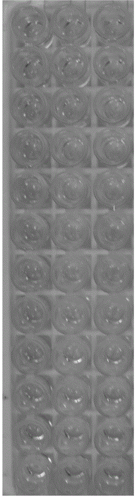 Hybridoma cell line producing monoclonal antibody against human d-dimer, preparation method and application