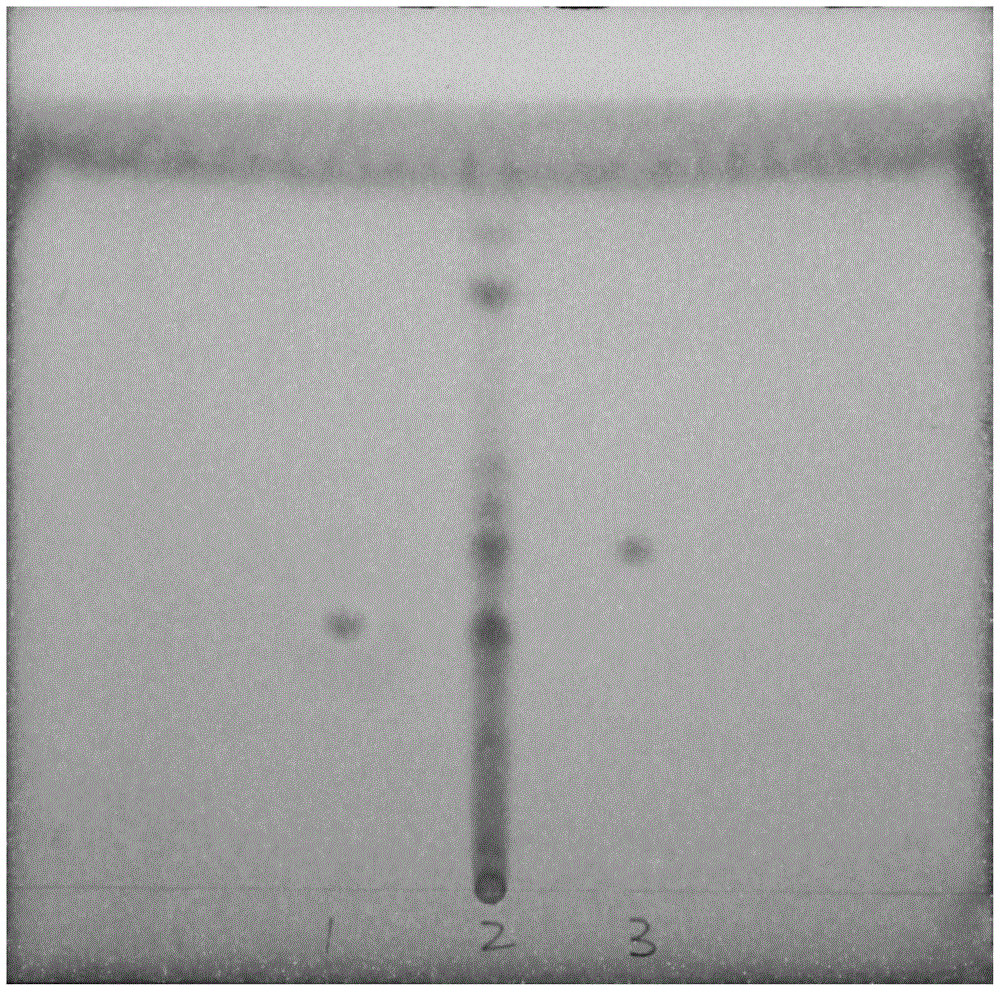 TLC detection method of a traditional Chinese medicine composition for improving animal immunity