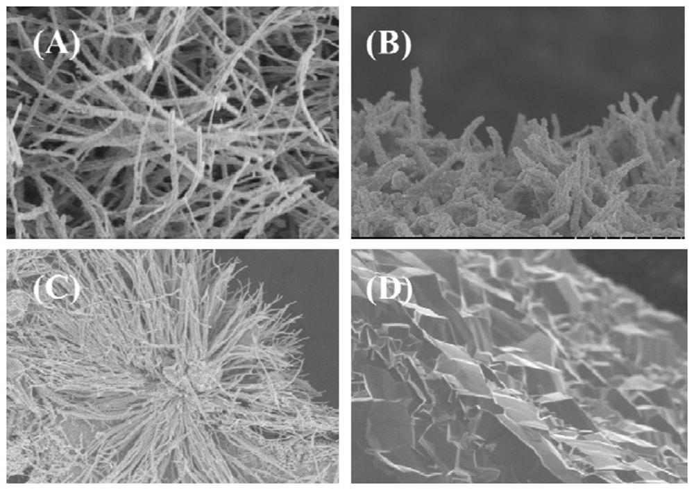 Preparation method of copper mesh integrated Cu2O@FeO nano array